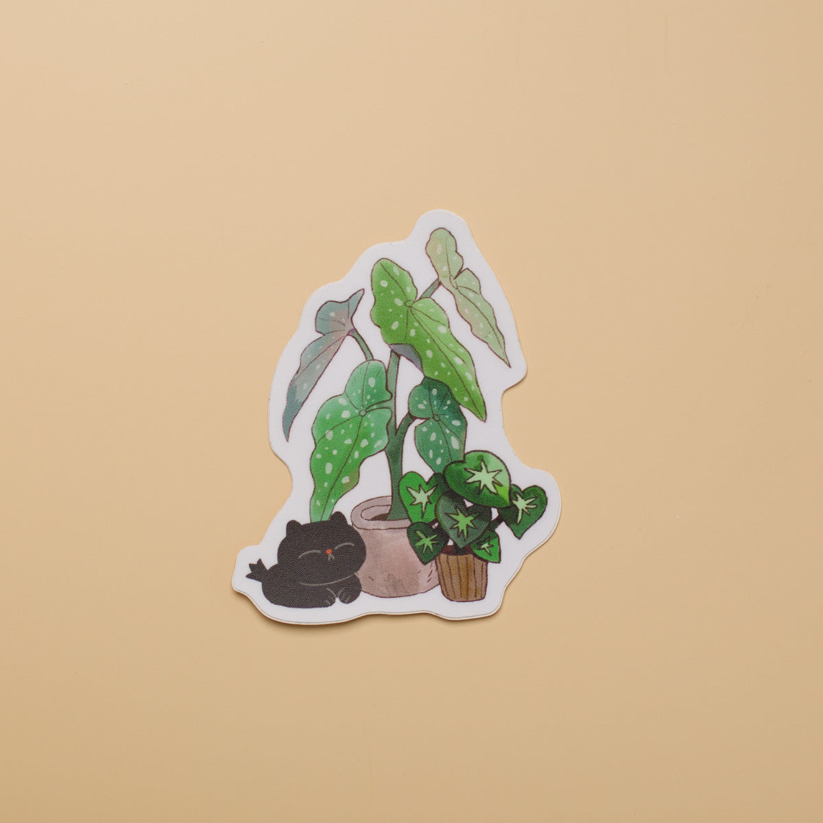 Cat and Begonia - Sticker