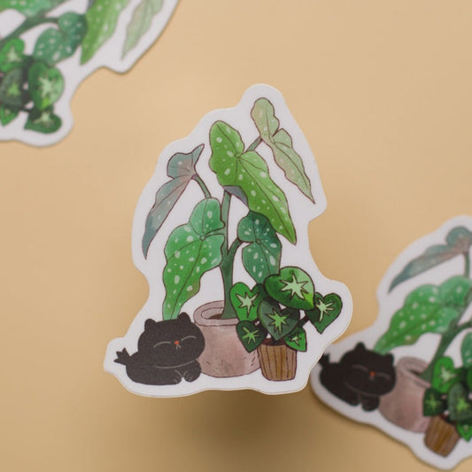 Cat and Begonia - Sticker